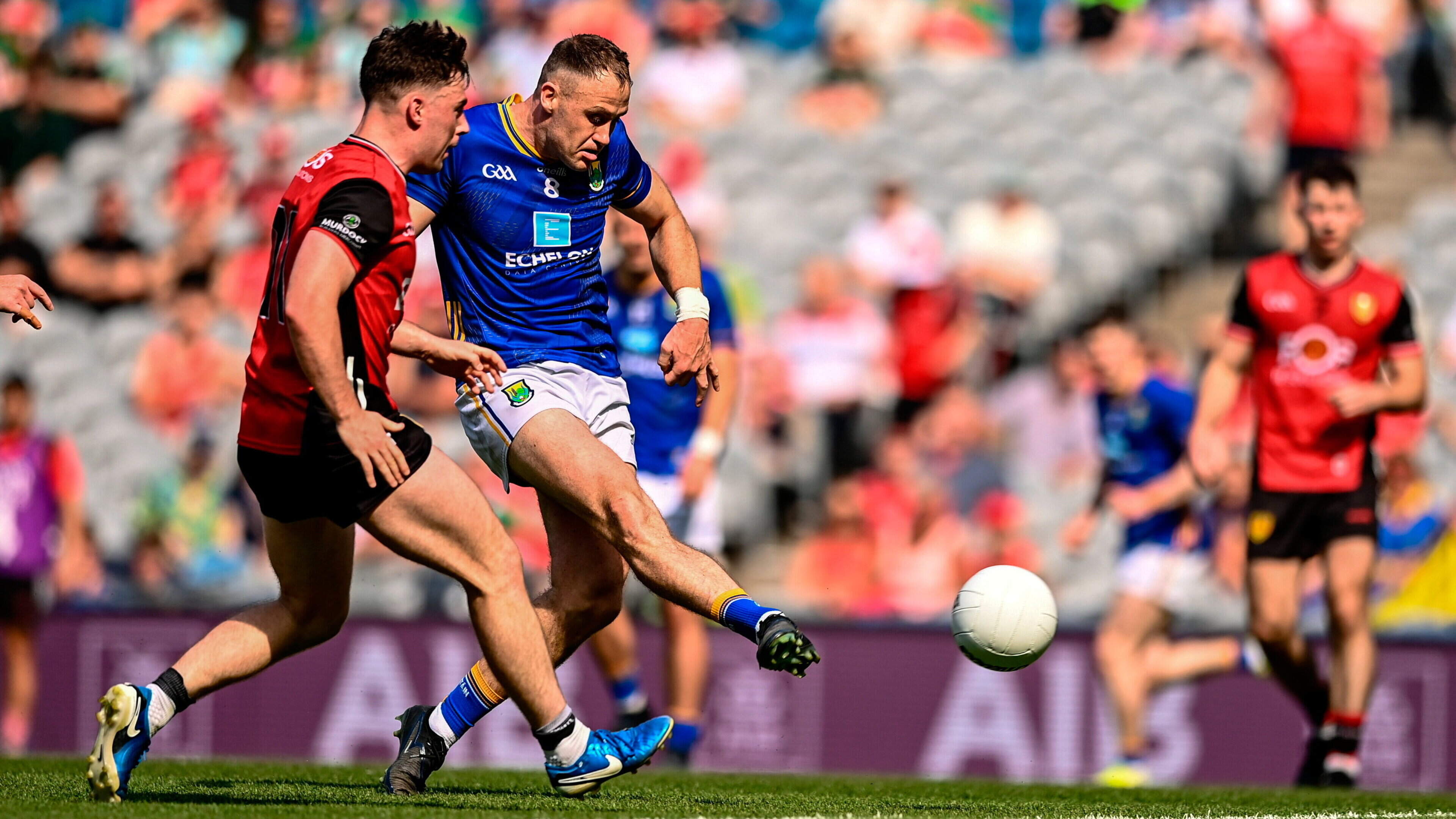 Veterans have day in the sun as Wicklow hero Dean Healy and Stephen Maher of Laois claim player of the year awards